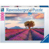 Ravensburger Puzzle 1000 Pezzi Campi di Lavanda Collezione Paesaggi