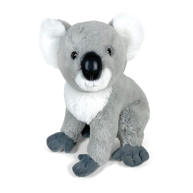 De Car Peluche Koala 30 cm