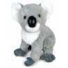 De Car Peluche Koala 30 cm